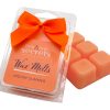 Best Kept Secrets Indian Summer Wax Melt