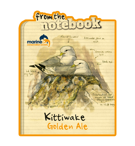 Extrait du Carnet Mouette tridactyle