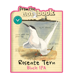 Allendale Brewery - Roseatte Tern Blush IPA