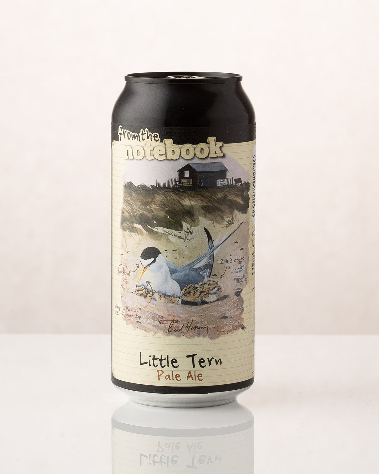 From the Notebook - Little Tern 440ml