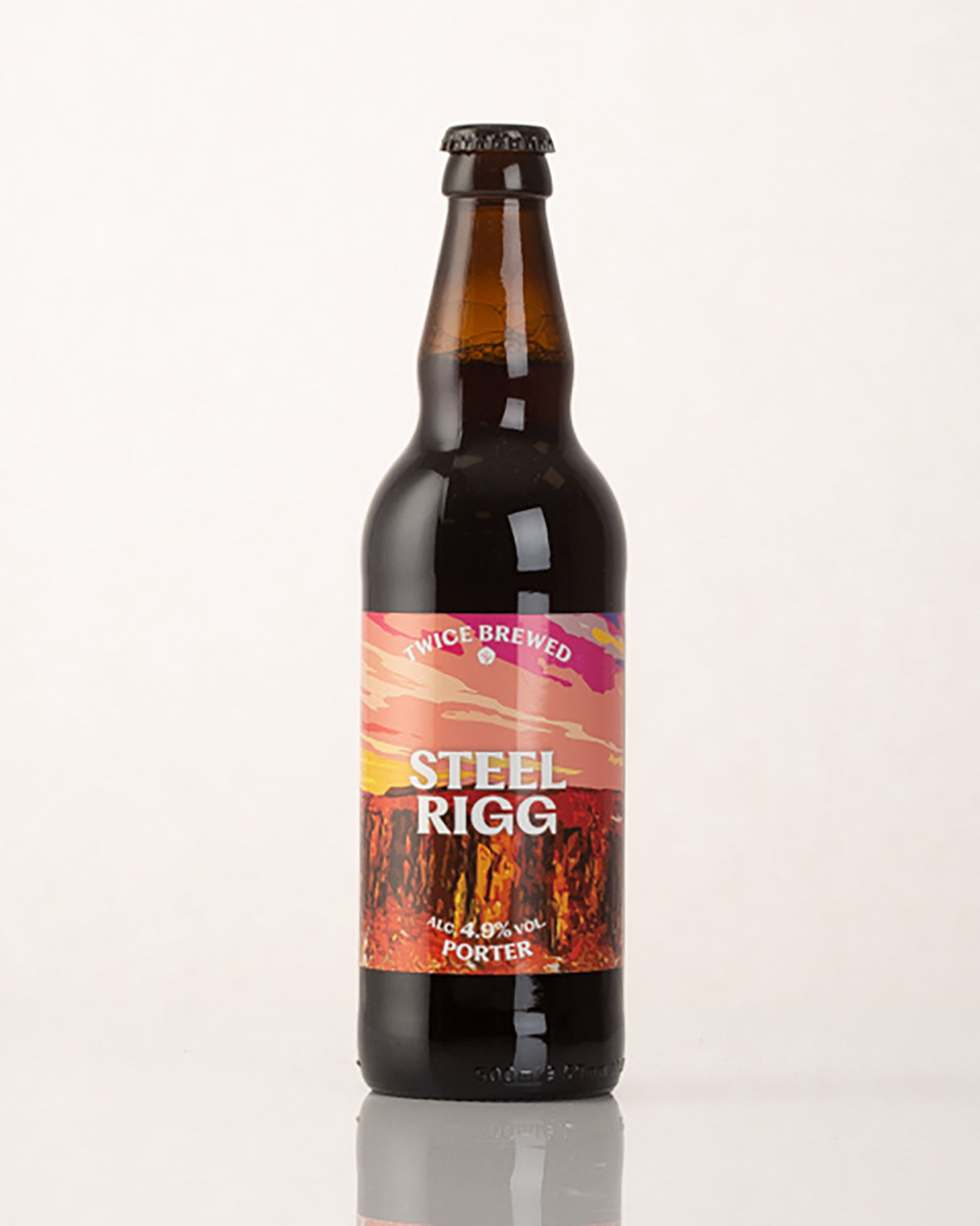 Steel Rigg Porter 4.9% 500ml bottle