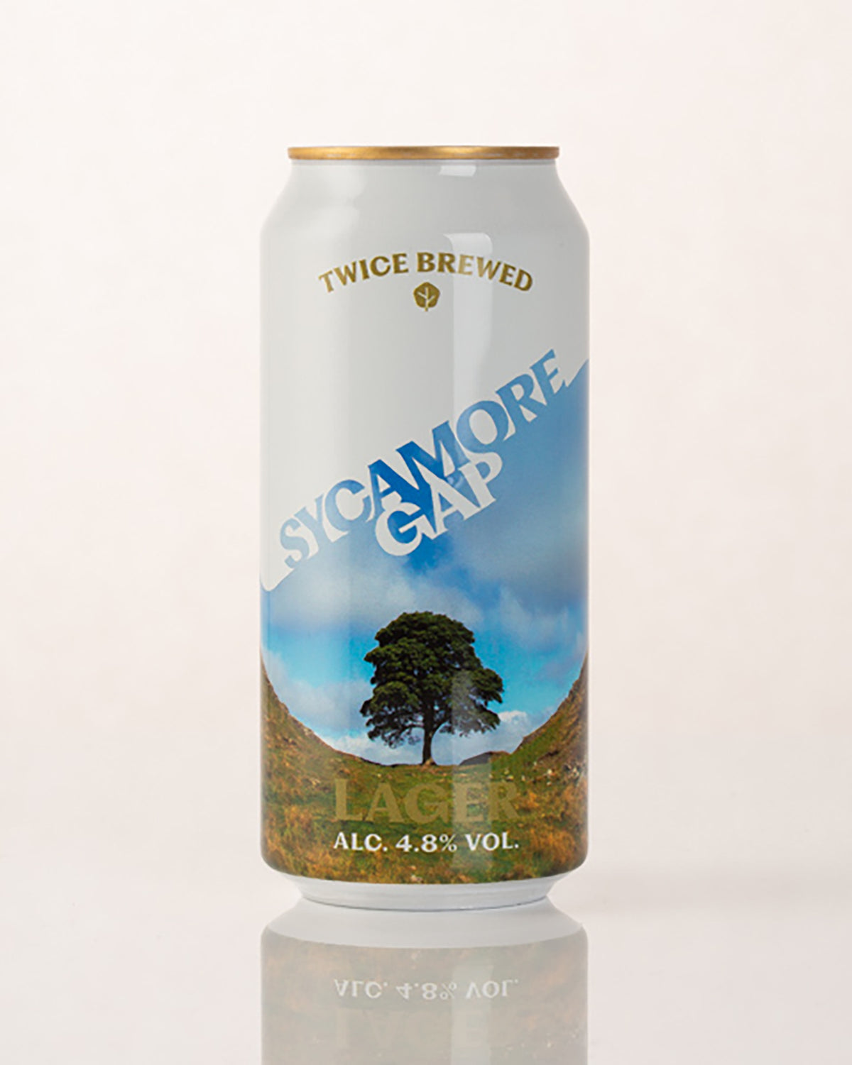 Twice Brewed Sycamor Gap Lager Northumbrian Gifts