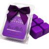 Best Kept Secrets Plum Champagne Wax Melt