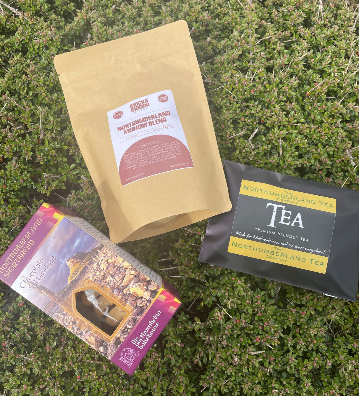 Welcome to Northumberland