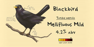 Aus dem Notizbuch Blackbird Mildes Ale